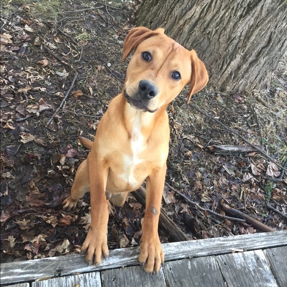 Meet your Posher, Brooklyn - Picture 5 of 10